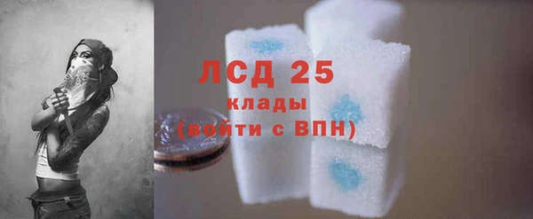стафф Дмитров