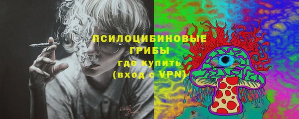 стафф Дмитров