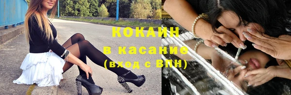 стафф Дмитров