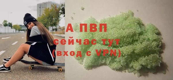 стафф Дмитров