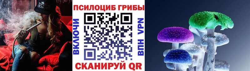 мега tor  купить  сайты  Ярцево  Псилоцибиновые грибы GOLDEN TEACHER 